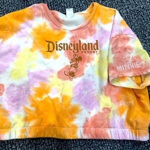 Disneyland Crop Top